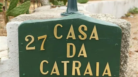 Houses in Seia - photo 5