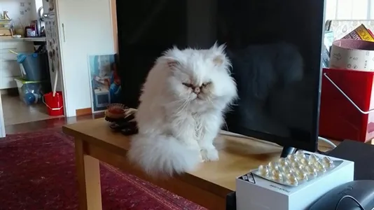 Rooms in Roma Municipio XV – Cassia/Flaminia - photo 5