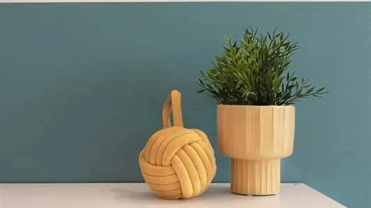 Rooms in Padua - photo 5