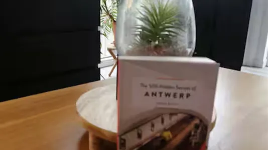 Apartments in Stad Antwerp - photo 9