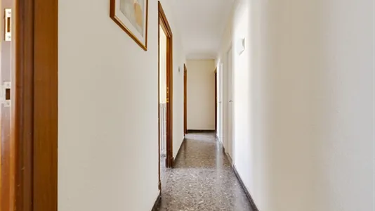 Rooms in Murcia - photo 7