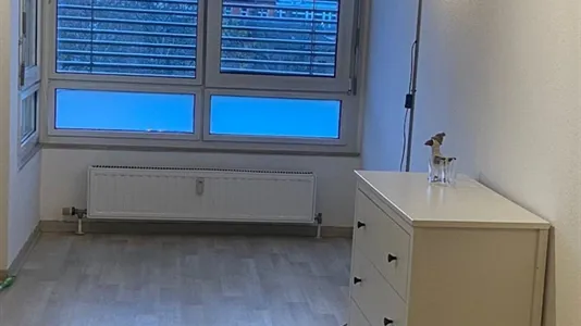 Apartments in Mannheim - photo 10