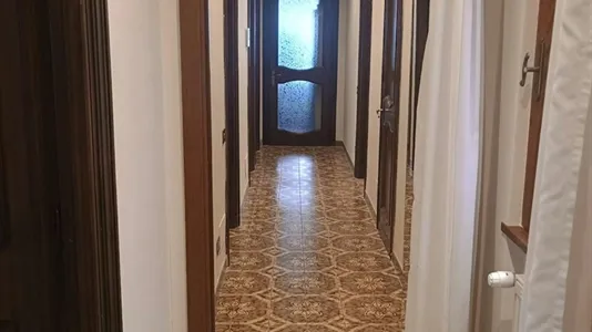 Rooms in Roma Municipio VIII – Appia Antica - photo 3