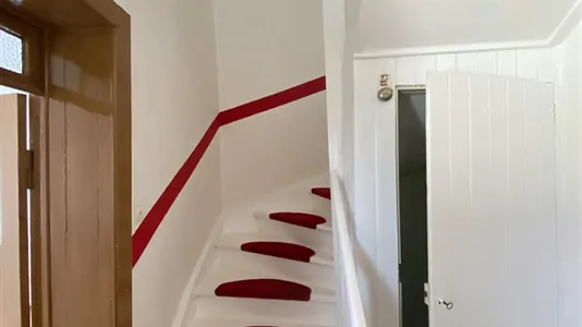 Houses in Havelland - photo 8