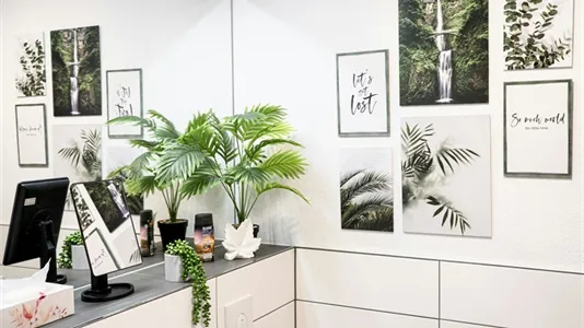 Apartments in Mannheim - photo 4