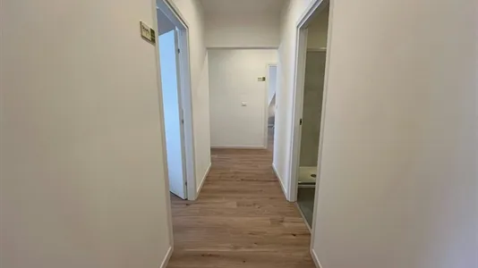 Rooms in Padua - photo 7