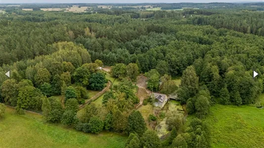 Houses in Wolsztyński - photo 10