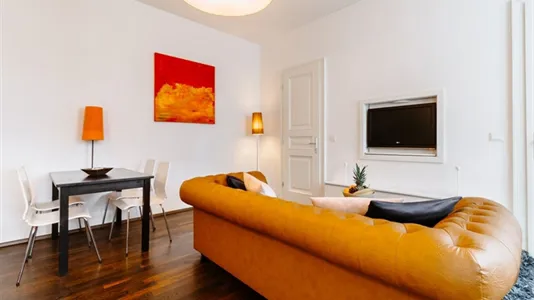 Apartments in Wien Neubau - photo 5