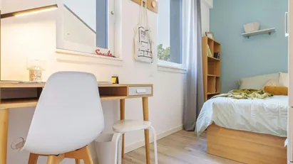 Room for rent in Padua, Veneto