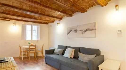 Apartments in Barcelona Ciutat Vella - photo 5
