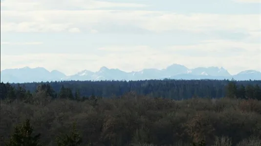 Rooms in Munich Thalkirchen-Obersendling-Forstenried-Fürstenried-Solln - photo 8