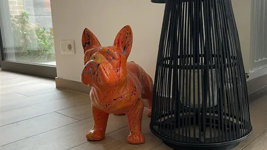 Rooms in Waterloo - photo 10