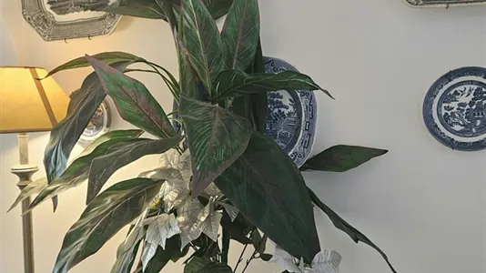 Rooms in Location is not specified - photo 7