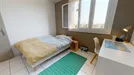 Room for rent, Lyon, Auvergne-Rhône-Alpes, Avenue Viviani