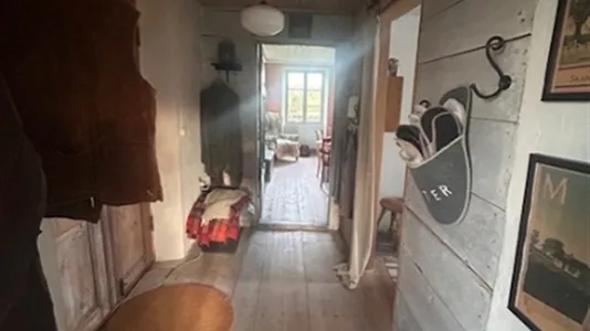 Houses in Gotland - photo 12