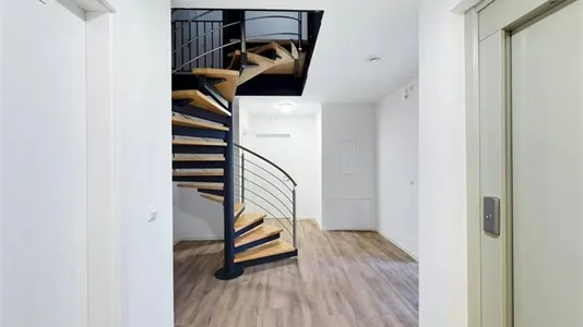 Rooms in Berlin Treptow-Köpenick - photo 2
