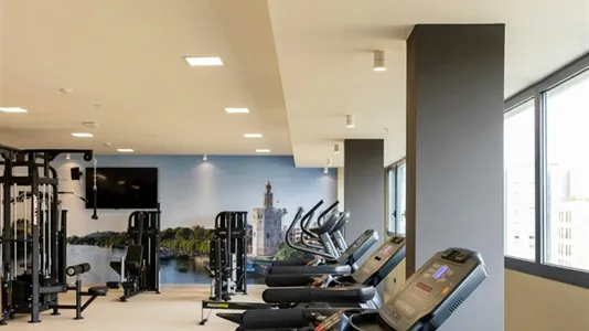 Apartments in Enramadilla - photo 10