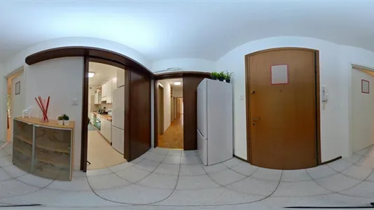 Rooms in Padua - photo 9