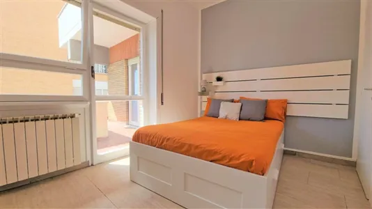 Rooms in Roma Municipio VIII – Appia Antica - photo 7