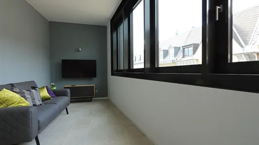 Apartments in Bonn - photo 4