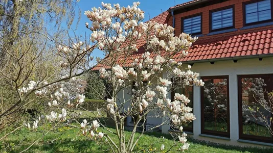 Apartments in Märkisch-Oderland - photo 2