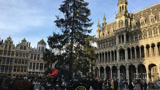 Rooms in Stad Brussel - photo 10