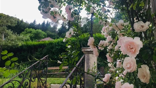 Houses in Alland - photo 5