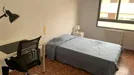 Room for rent, Castellón de la Plana/Castelló de la Plana, Comunidad Valenciana, Avinguda del Doctor Clarà, Spain