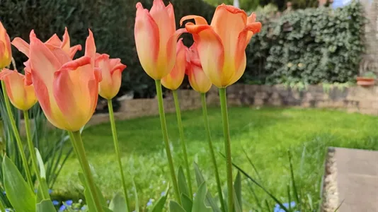 Apartments in Böblingen - photo 9