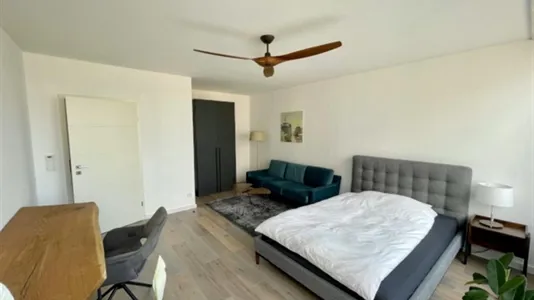 Rooms in Offenbach am Main - photo 3