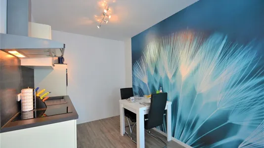 Apartments in Groß-Gerau - photo 8