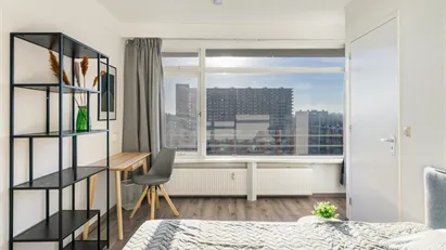 Room for rent in Delft, South Holland