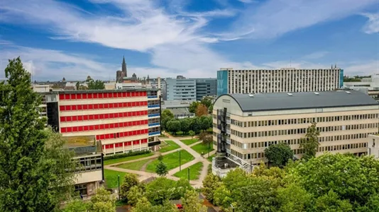 Rooms in Strasbourg - photo 8
