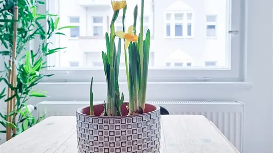 Apartments in Berlin Mitte - photo 6