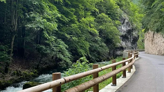 Houses in Biel - photo 5