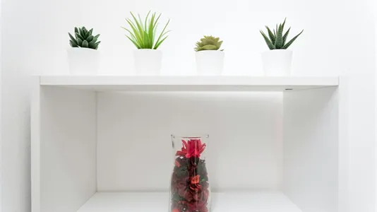 Rooms in Milano Zona 3 - Porta Venezia, Città Studi, Lambrate - photo 10