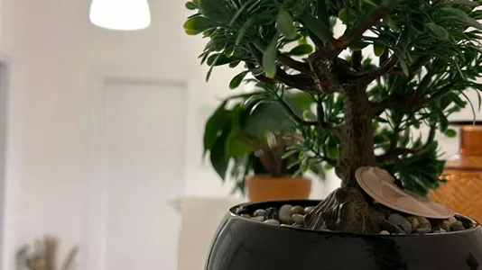 Rooms in Brescia - photo 8