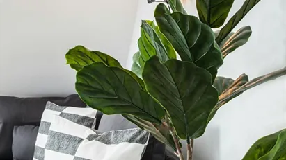 Apartment for rent in Dusseldorf, Nordrhein-Westfalen