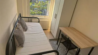 Room for rent in Rotterdam