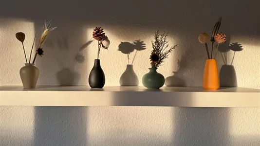 Apartments in Offenbach - photo 10