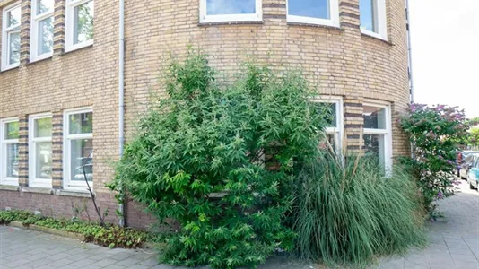 Rooms in The Hague Escamp - photo 7