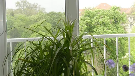 Rooms in Vienna Alsergrund - photo 7