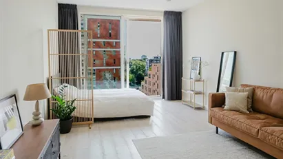 Apartment for rent in Amsterdam Zuideramstel, Amsterdam