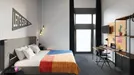 Room for rent, Toulouse, Occitanie, Rue de Sébastopol, France