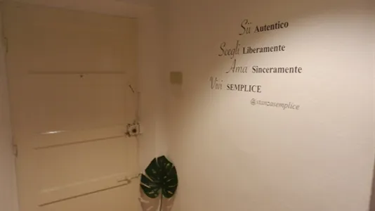 Rooms in Pisa - photo 9