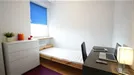 Room for rent, Łódź, Łódzkie, Ulica Tarninowa, Poland