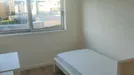 Room for rent, Braga, Braga (Distrito), Rua Dom Pedro V, Portugal