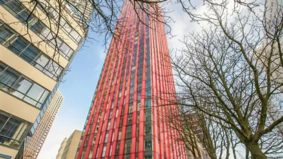 Room for rent in Rotterdam