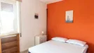 Room for rent, Roma Municipio I – Centro Storico, Rome, Lungotevere Portuense, Italy