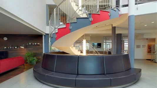 Apartments in Dresden - photo 6